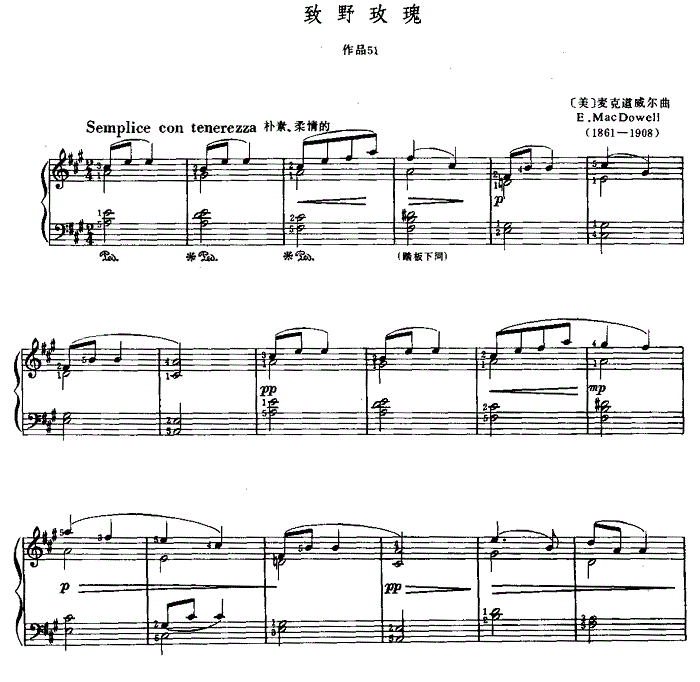 一腔诗意喂了狗