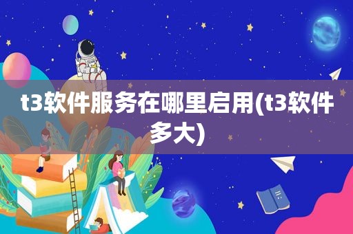 t3软件服务在哪里启用(t3软件多大)