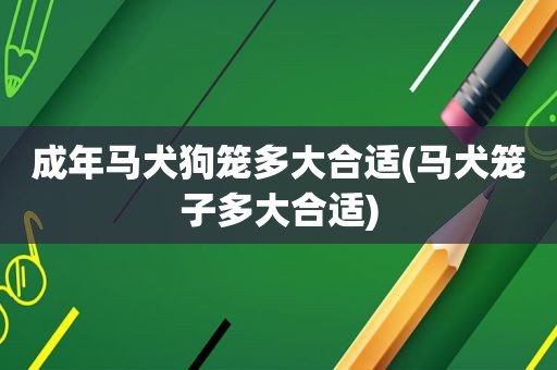 成年马犬狗笼多大合适(马犬笼子多大合适)