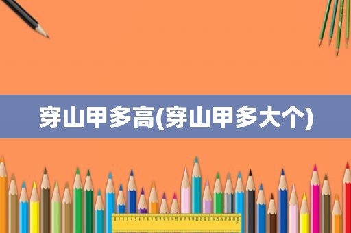 穿山甲多高(穿山甲多大个)
