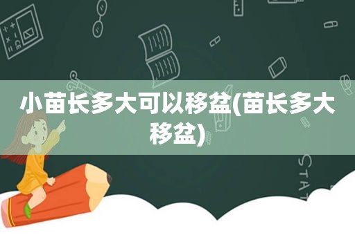 小苗长多大可以移盆(苗长多大移盆)