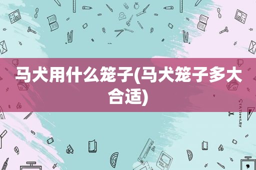 马犬用什么笼子(马犬笼子多大合适)