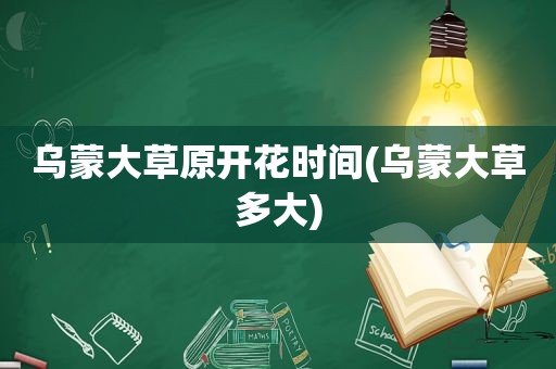 乌蒙大草原开花时间(乌蒙大草多大)