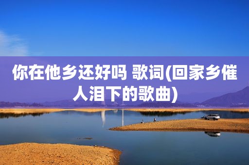 你在他乡还好吗 歌词(回家乡催人泪下的歌曲)