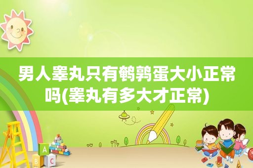 男人睾丸只有鹌鹑蛋大小正常吗(睾丸有多大才正常)