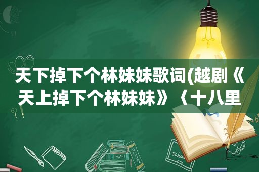 天下掉下个林妹妹歌词(越剧《天上掉下个林妹妹》〈十八里相送〉的歌词)
