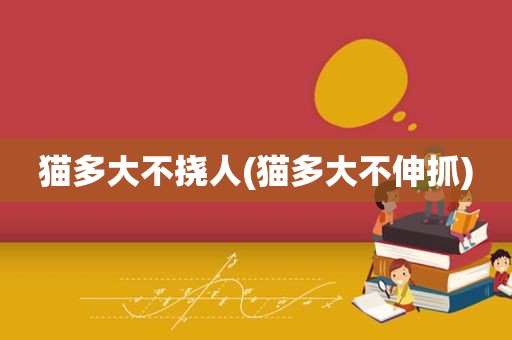 猫多大不挠人(猫多大不伸抓)