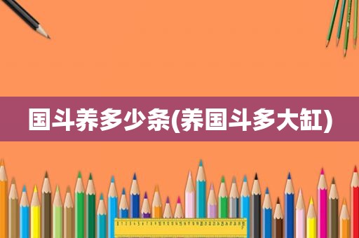 国斗养多少条(养国斗多大缸)
