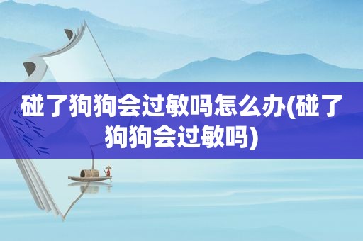碰了狗狗会过敏吗怎么办(碰了狗狗会过敏吗)