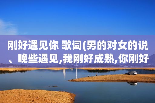 刚好遇见你 歌词(男的对女的说、晚些遇见,我刚好成熟,你刚好温柔这话什么意思)