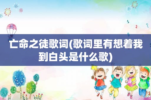 亡命之徒歌词(歌词里有想着我到白头是什么歌)