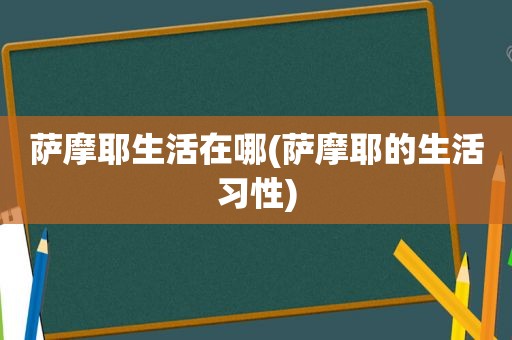 萨摩耶生活在哪(萨摩耶的生活习性) 萨摩耶生活在哪(萨摩耶的生活习性)