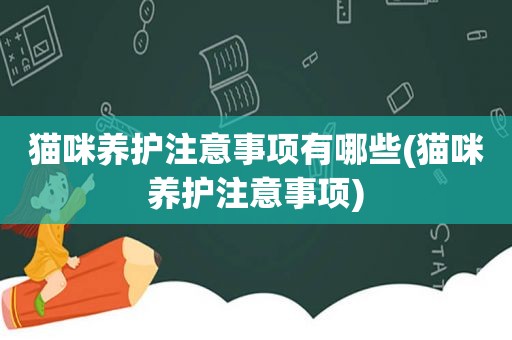 猫咪养护注意事项有哪些(猫咪养护注意事项)