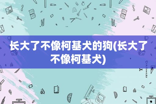 长大了不像柯基犬的狗(长大了不像柯基犬)