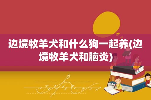 边境牧羊犬和什么狗一起养(边境牧羊犬和脑炎)