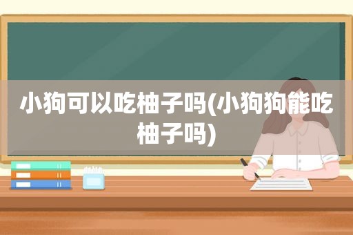 小狗可以吃柚子吗(小狗狗能吃柚子吗)