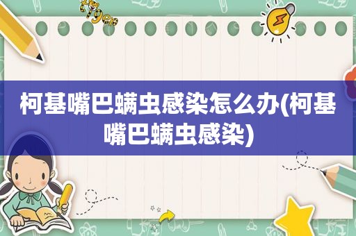 柯基嘴巴螨虫感染怎么办(柯基嘴巴螨虫感染)