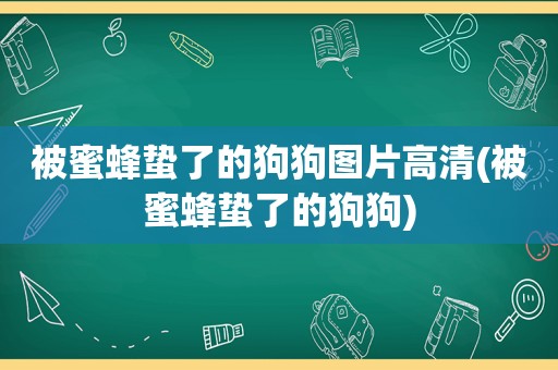 被蜜蜂蛰了的狗狗图片高清(被蜜蜂蛰了的狗狗)