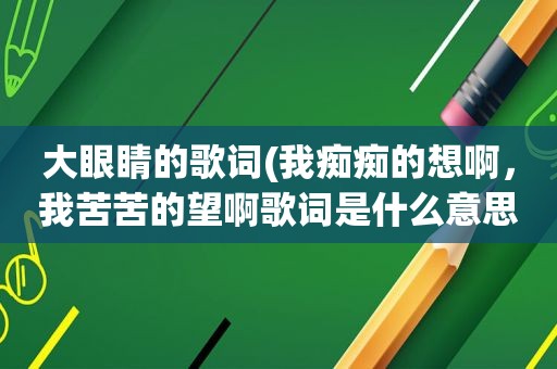 大眼睛的歌词(我痴痴的想啊，我苦苦的望啊歌词是什么意思)