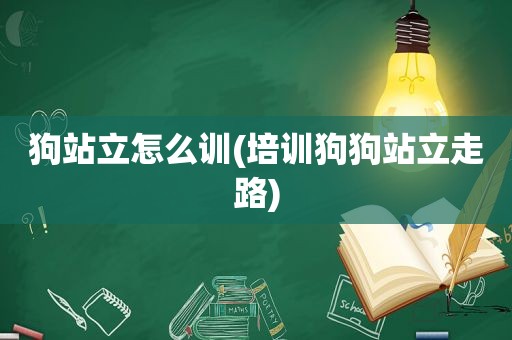 狗站立怎么训(培训狗狗站立走路)