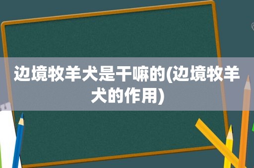 边境牧羊犬是干嘛的(边境牧羊犬的作用)
