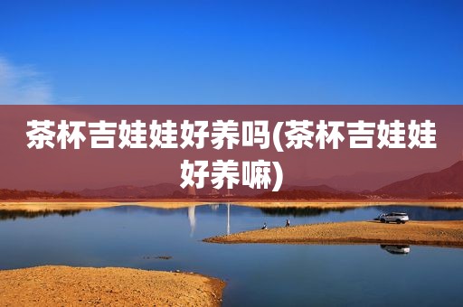 茶杯吉娃娃好养吗(茶杯吉娃娃好养嘛)
