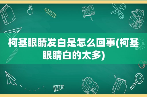 柯基眼睛发白是怎么回事(柯基眼睛白的太多)