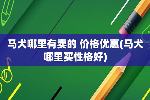 马犬哪里有卖的 价格优惠(马犬哪里买性格好)