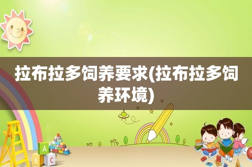 拉布拉多饲养要求(拉布拉多饲养环境)