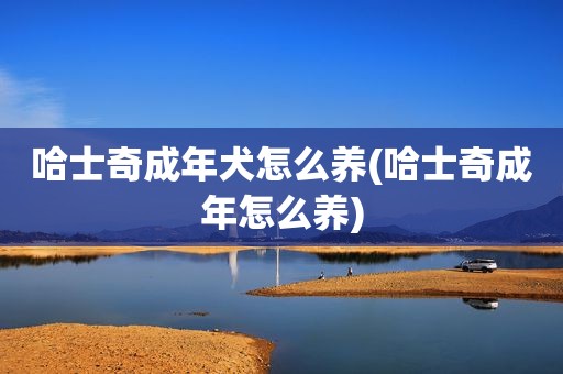 哈士奇成年犬怎么养(哈士奇成年怎么养)