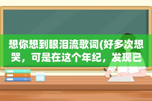 想你想到眼泪流歌词(好多次想哭，可是在这个年纪，发现已经没有眼泪了，你呢)