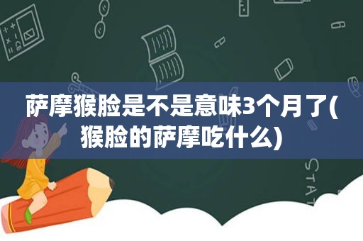 萨摩猴脸是不是意味3个月了(猴脸的萨摩吃什么)