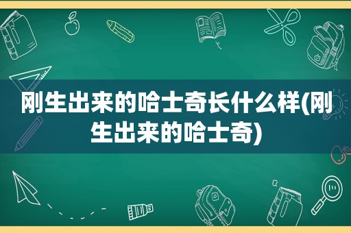 刚生出来的哈士奇长什么样(刚生出来的哈士奇)