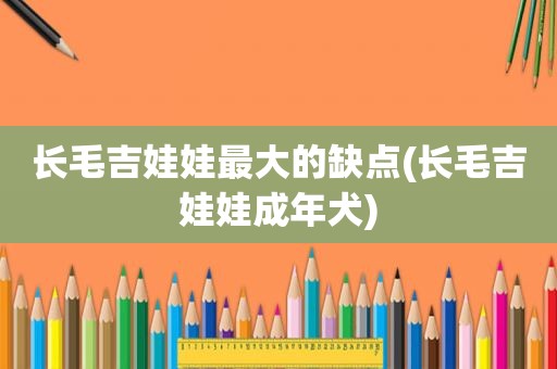 长毛吉娃娃最大的缺点(长毛吉娃娃成年犬)