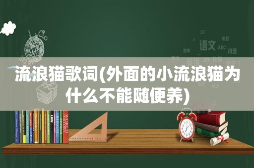 流浪猫歌词(外面的小流浪猫为什么不能随便养)