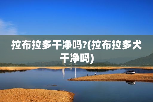 拉布拉多干净吗?(拉布拉多犬干净吗)