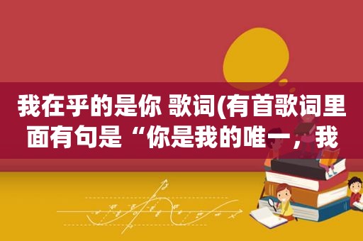 我在乎的是你 歌词(有首歌词里面有句是“你是我的唯一，我在乎的是你”)