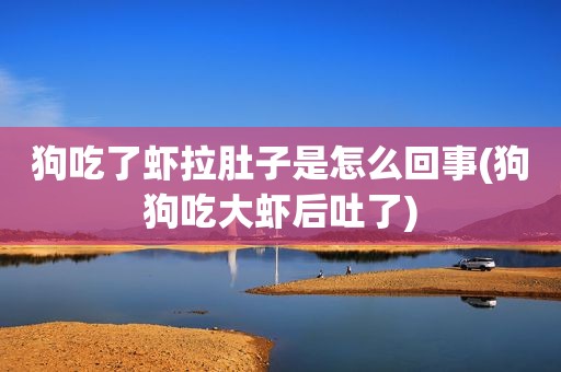 狗吃了虾拉肚子是怎么回事(狗狗吃大虾后吐了)