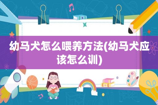 幼马犬怎么喂养方法(幼马犬应该怎么训)