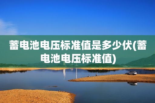 蓄电池电压标准值是多少伏(蓄电池电压标准值)