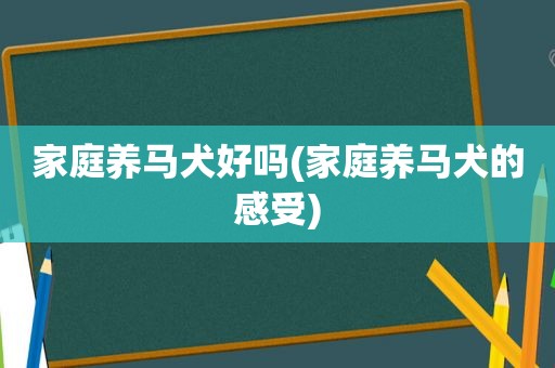 家庭养马犬好吗(家庭养马犬的感受)