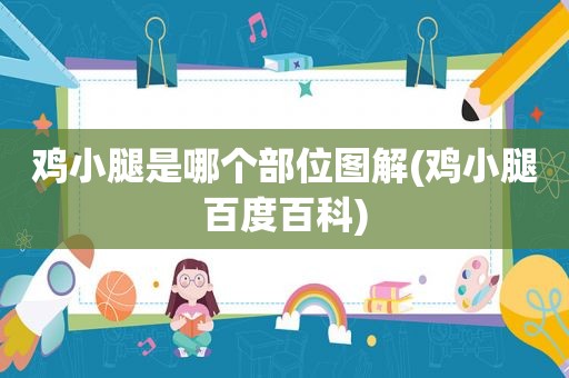 鸡小腿是哪个部位图解(鸡小腿百度百科)