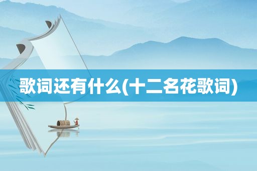 歌词还有什么(十二名花歌词)