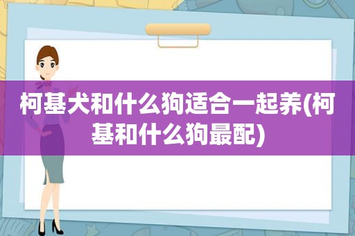 柯基犬和什么狗适合一起养(柯基和什么狗最配)