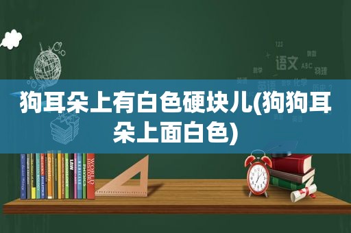 狗耳朵上有白色硬块儿(狗狗耳朵上面白色)
