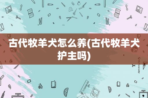 古代牧羊犬怎么养(古代牧羊犬护主吗)