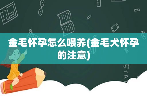 金毛怀孕怎么喂养(金毛犬怀孕的注意)
