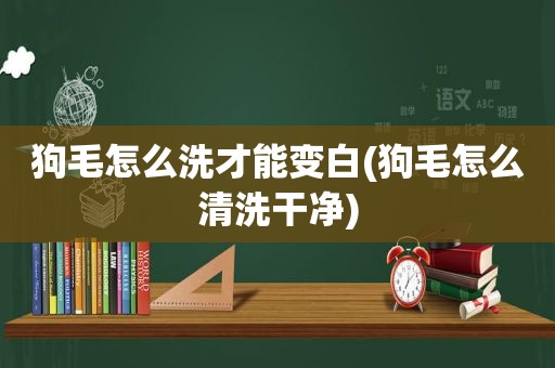 狗毛怎么洗才能变白(狗毛怎么清洗干净)