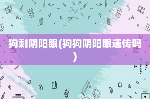 狗剩阴阳眼(狗狗阴阳眼遗传吗)