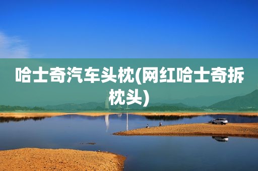 哈士奇汽车头枕(网红哈士奇拆枕头)